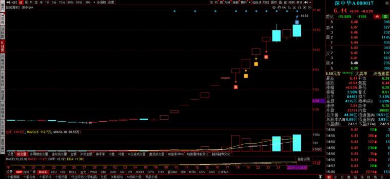 炒股成功故事_心理承受能力锻炼_大学生炒股经历