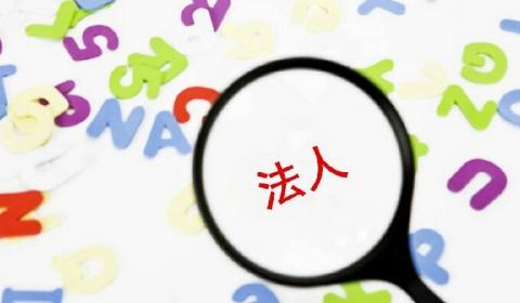 公司法规定公司法定代表人可无股份及相关任职资格解析