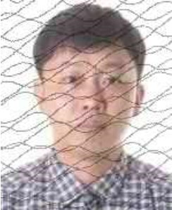 广西世创房地产投资有限公司 失信被执行人_田林县失信被执行人名单_广西田林县人民法院失信被执行人