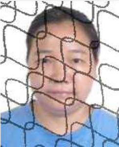 田林县失信被执行人名单_广西田林县人民法院失信被执行人_广西世创房地产投资有限公司 失信被执行人