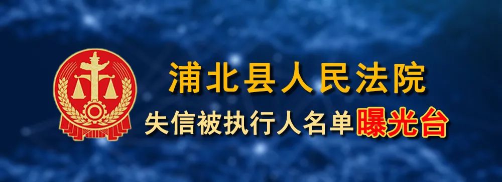 广西失信被执行人信息查询_广西世创房地产投资有限公司 失信被执行人_浦北县失信被执行人名单