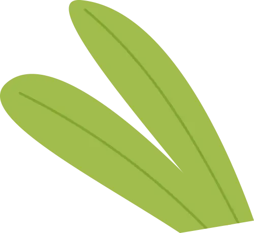 香港麦理浩径起源_香港亲子徒步路线_香港亲子登山好去处