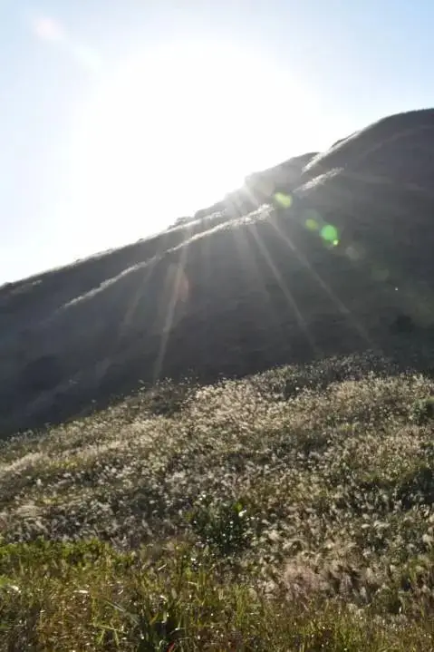 香港麦理浩径起源_香港亲子徒步路线_香港亲子登山好去处