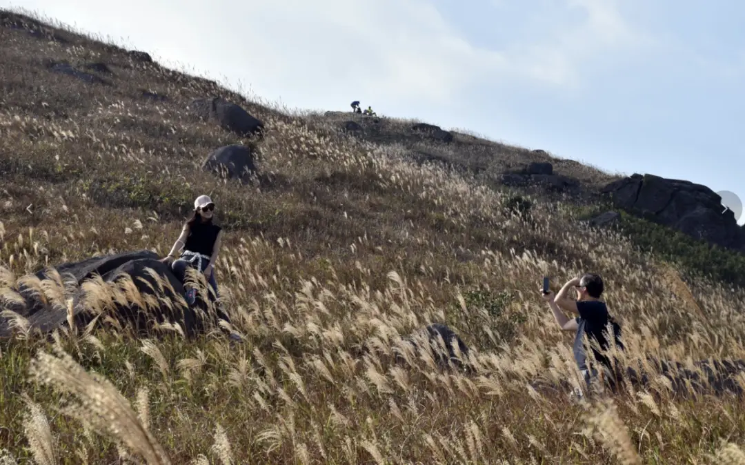 香港亲子徒步路线_香港亲子登山好去处_香港麦理浩径起源