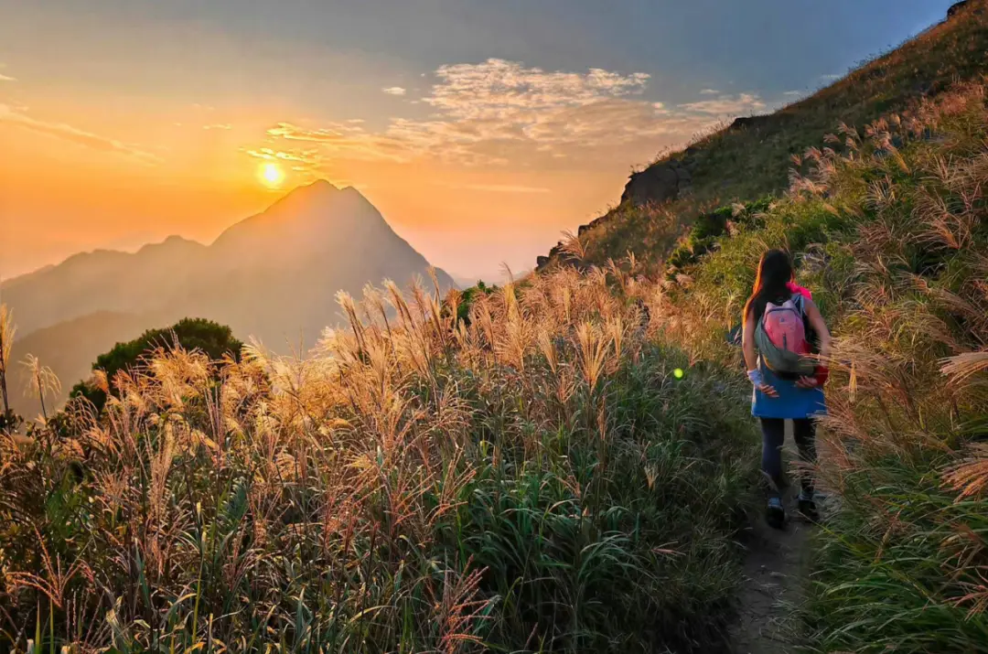香港亲子徒步路线_香港麦理浩径起源_香港亲子登山好去处