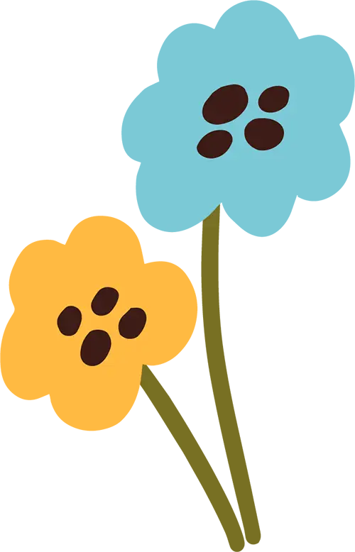 香港麦理浩径起源_香港亲子徒步路线_香港亲子登山好去处