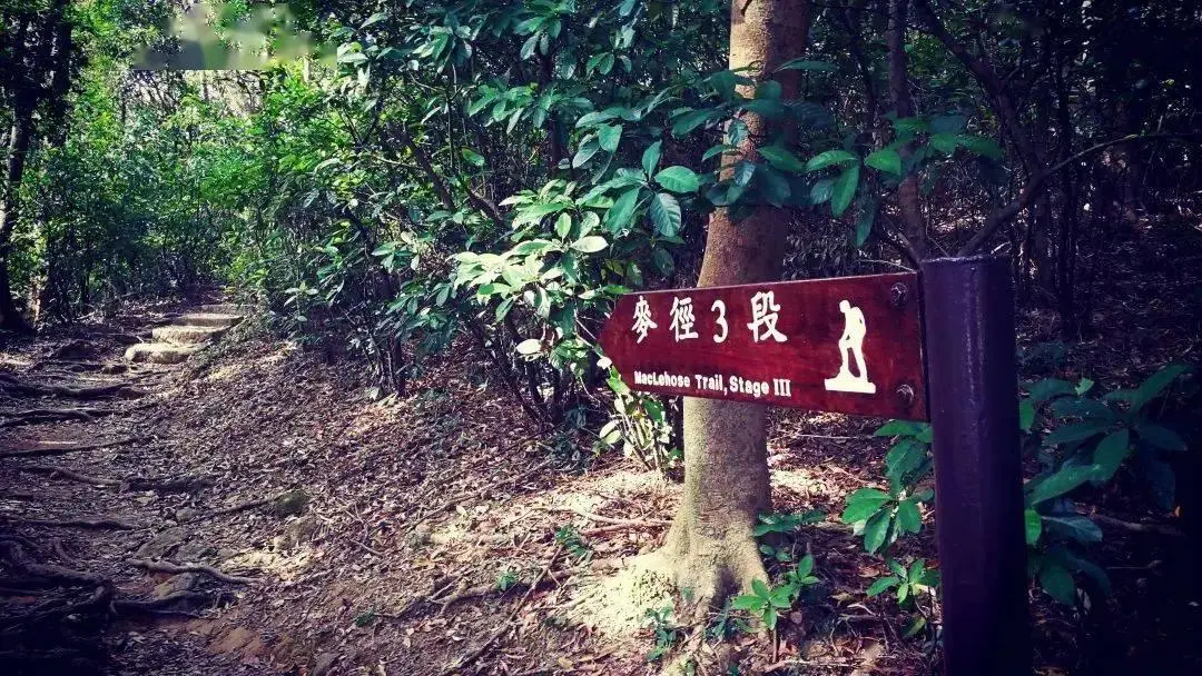 香港麦理浩径起源_香港麦理浩径100公里徒步_麦径挑战活动报名