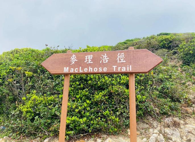 麦径第四段路线介绍_香港麦理浩径起源_麦理浩径第四五段徒步活动