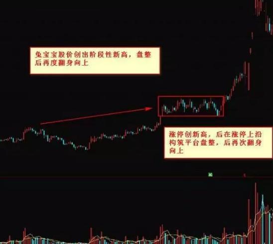 黑马股基本面特征_黑马股选股标准_今日股票黑马