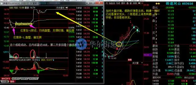 龙头股低吸_如何知道是龙头股_主升阶段分时低吸