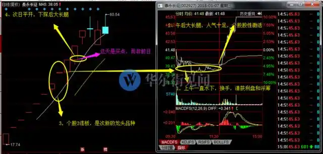 如何知道是龙头股_龙头股低吸_主升阶段分时低吸