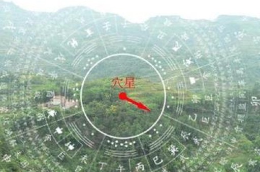 2025年做什么生意比较好赚钱 2025年赚钱佳选哪些生意好做？
