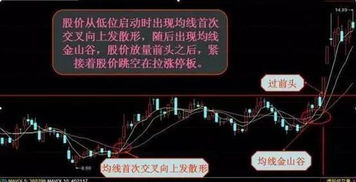 经典炒股之路，免费短剧等你来观