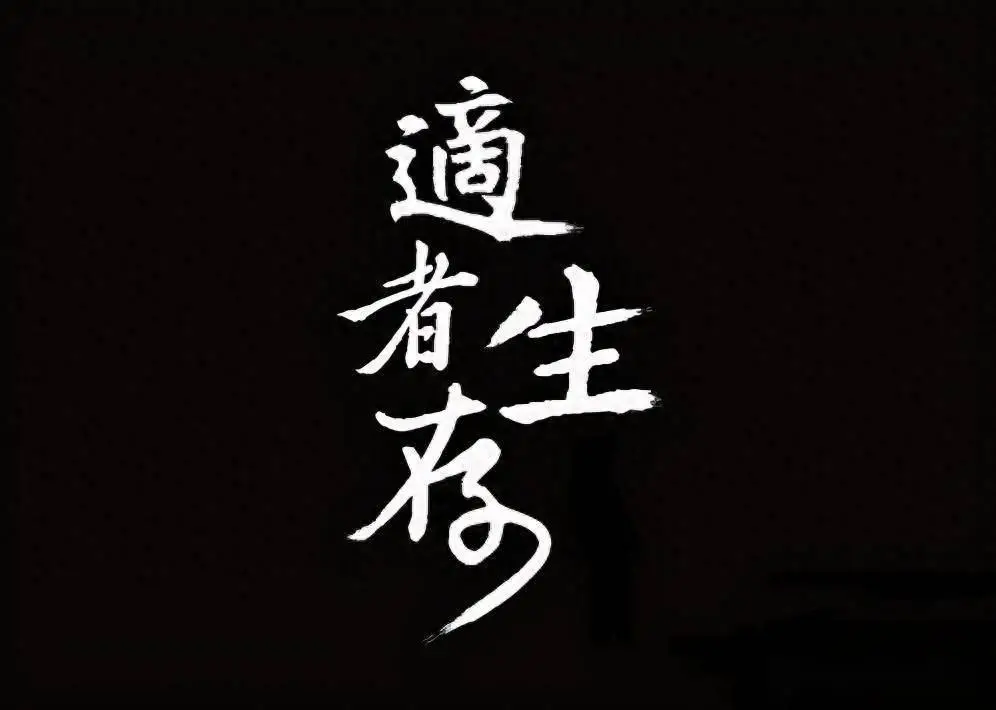 涨停第二天K线主力出货_股票收盘卖的多是不是第二天会跌_高位涨停出货识别