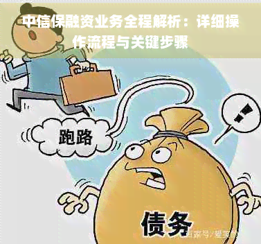 解析中信保融资业务操作流程，助力企业应对复杂贸易环境