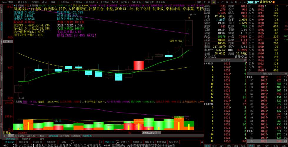 建新股份2025年一季报分析_建新股份股票_建新股份300107资金流向