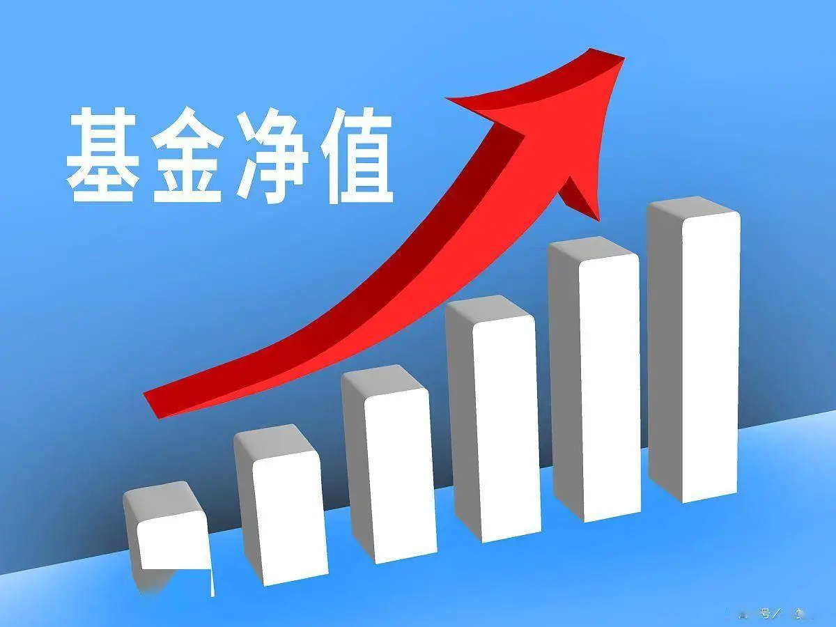 净值的核心定义：金融投资领域的资产净值与产品净值解析？