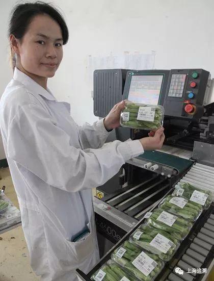 无人售菜机由来_强丰企业蔬菜机_自动售菜机利润分析