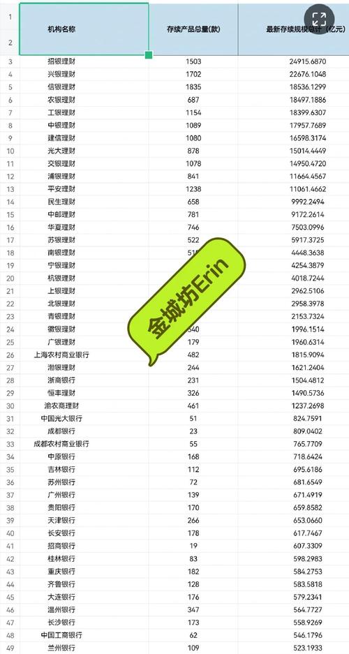 银行理财机构排名 2025_哪家银行理财产品收益好_理财能力评估标准