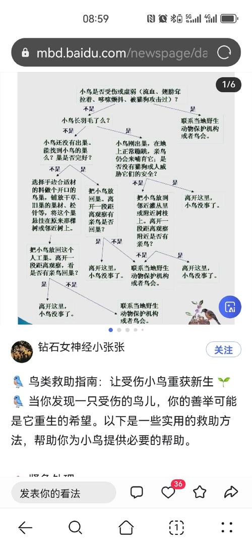 二一添作五,生意难赚钱_二一添作五出处解释_二一添作五珠算口诀