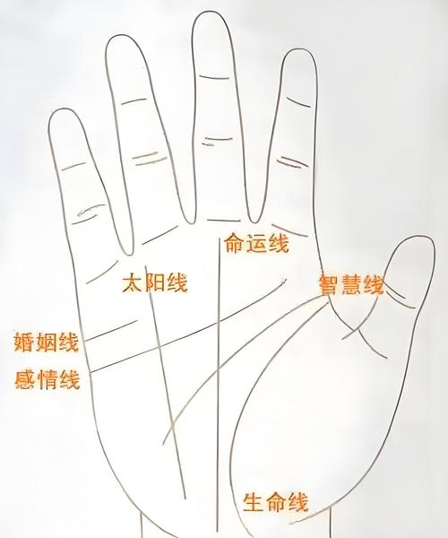 太阳线弯曲性格消极_太阳线制度图解_太阳线支线复杂胡思乱想