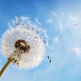 股价跌30%就抄底？小心逢低买入幻觉亏光本金