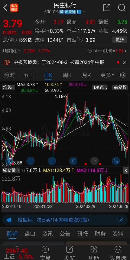 民生银行资金流向_民生银行股价分析_民生银行2025年分红