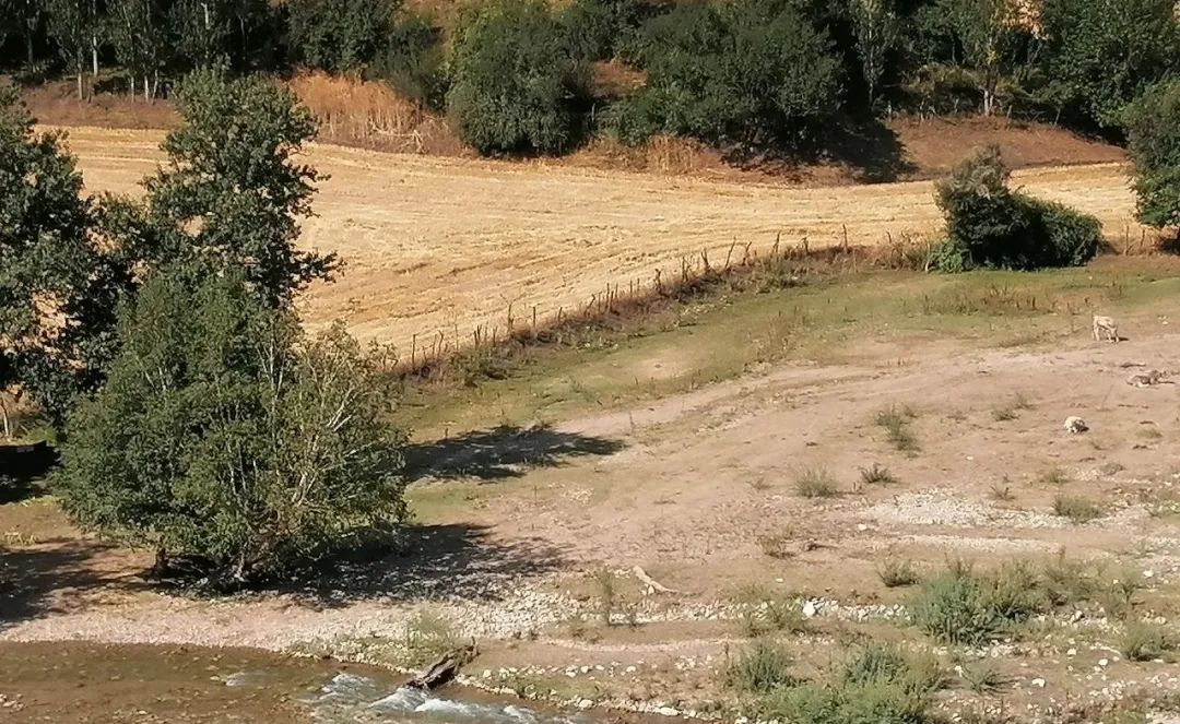 REITs认购分析_下周新股申购_北交所新股发行情况