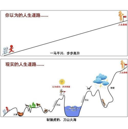 实现人生价值条件教学设计_发挥主观能动性缔造条件_实现人生价值要从 条件