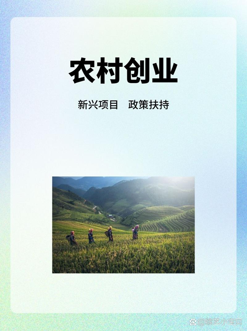 农村教育幼儿园创业项目_找个适合农村创业的好项目_绿色肉类草食畜禽创业项目