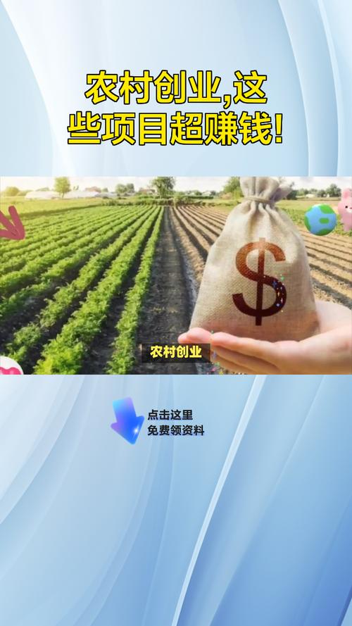 找个适合农村创业的好项目_秸秆加工有机肥_农村电商