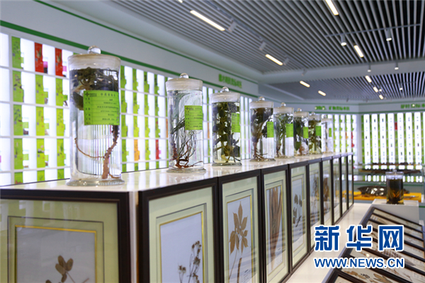 神威药业图片_现代化中药生产技术_中药指纹图谱技术研究