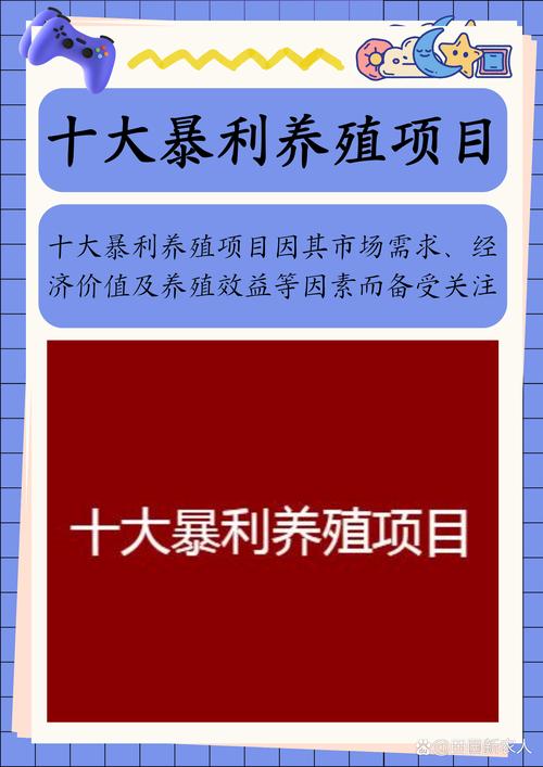 农村养殖项目推荐_农村可以养什么比较好项目_农村赚钱的养殖业是什么