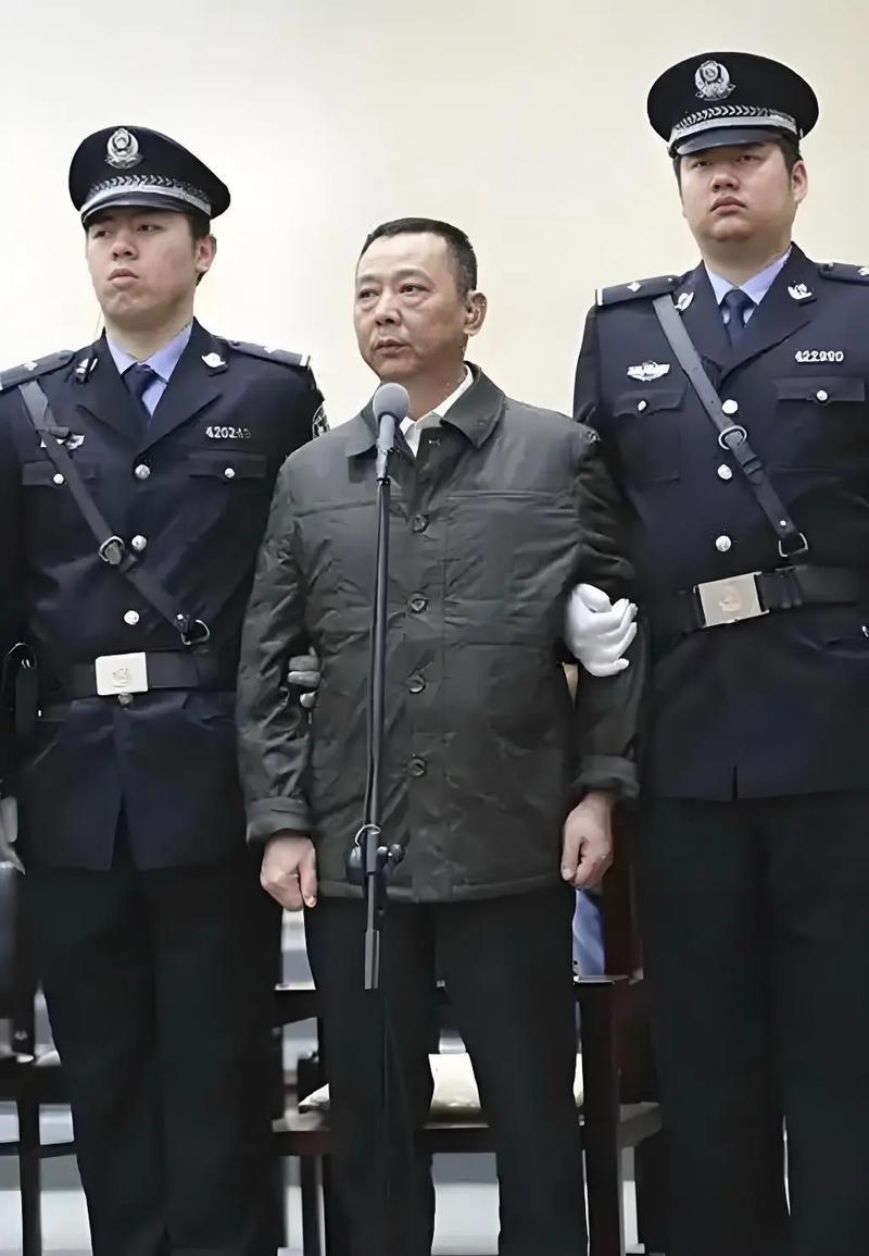 中国首富 光伏产业 刘汉 汉龙集团_汉龙集团现在谁接管