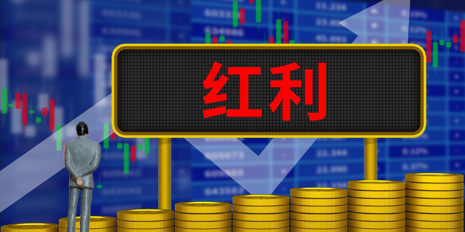 高股息资产投资_红利基金配置_红利入账100是什么意思