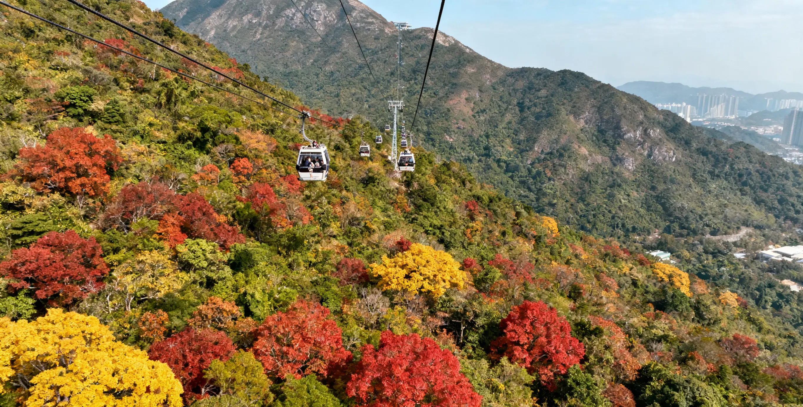 <strong>去港澳旅游要准备啥？证件货币支付等攻略及靠谱导游电话</strong>