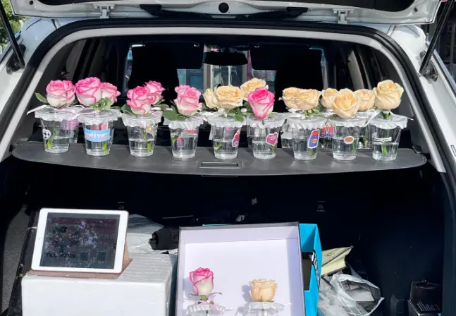 注册推广赚钱一个10元_走路赚钱1万步10元_靠谱的赚钱方式