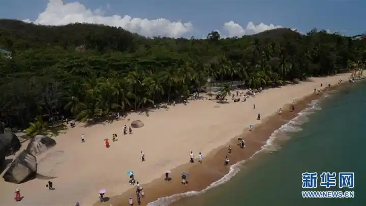 邢明创业故事_天涯股票论坛_天涯社区发展历程