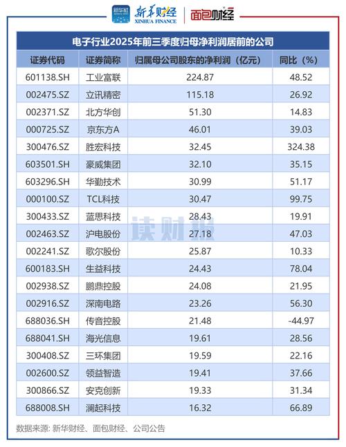 同洲电子能源领域业务分析_同洲电子2025年业绩预告_同洲电子 高 峰