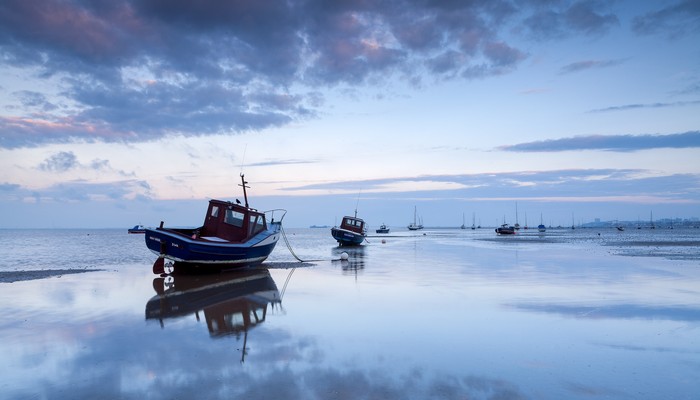 上市公司停牌什么意思 新股上市停牌是什么意思