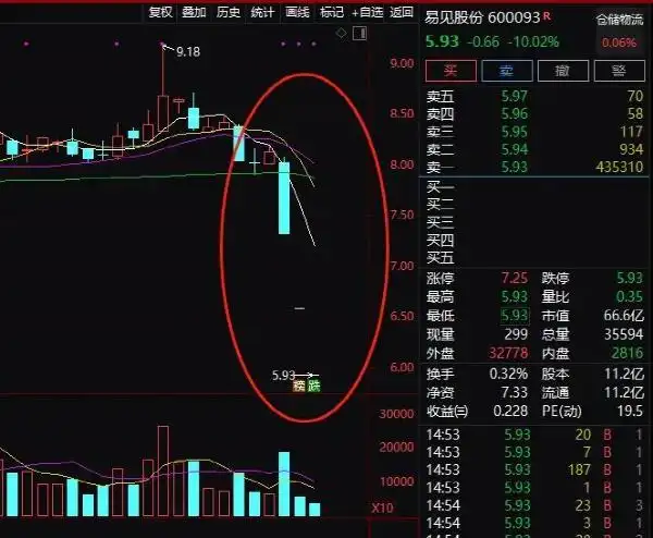 易见股份因信披违法违规被立案调查_易见股份会死股吗_易见股份年报一季报难产原因