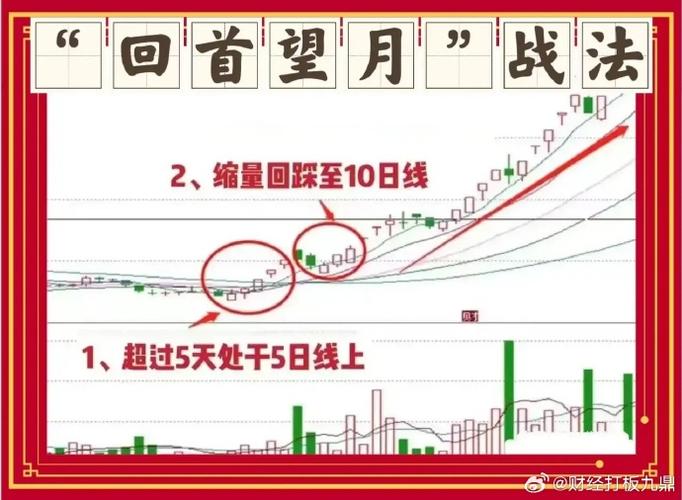头狼选股战法揭秘：早盘买股时机与操作风格全解析