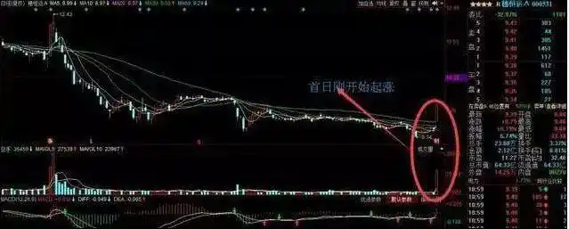 散户一次性买入多少股票会引起庄家注意_看盘中的即时波动态势_快速看盘技巧