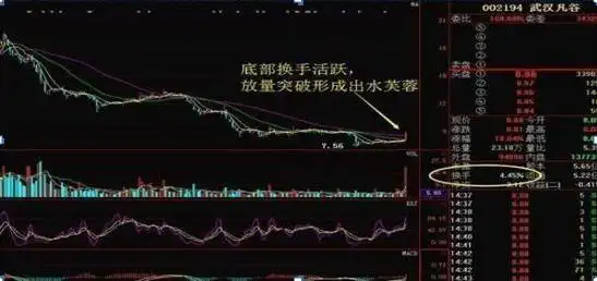 庄家出货手法_跌停板出货分析_散户一次性买入多少股票会引起庄家注意