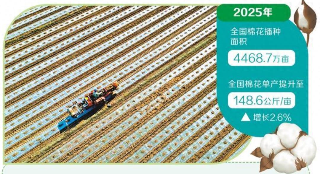 环保产业黄金期来临，棉农如何抓住万亿级绿色商机？