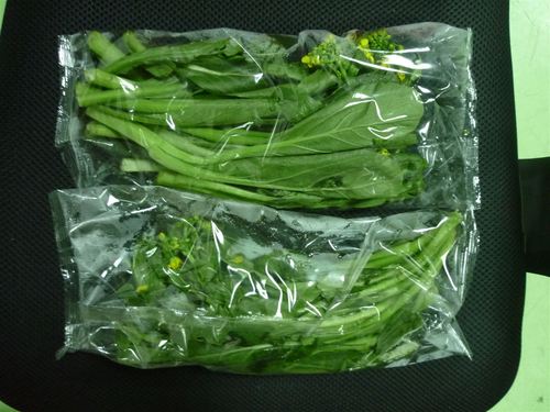 中国棉花产业转型升级_棉花产业科技创新发展_环保产业进入黄金发展期