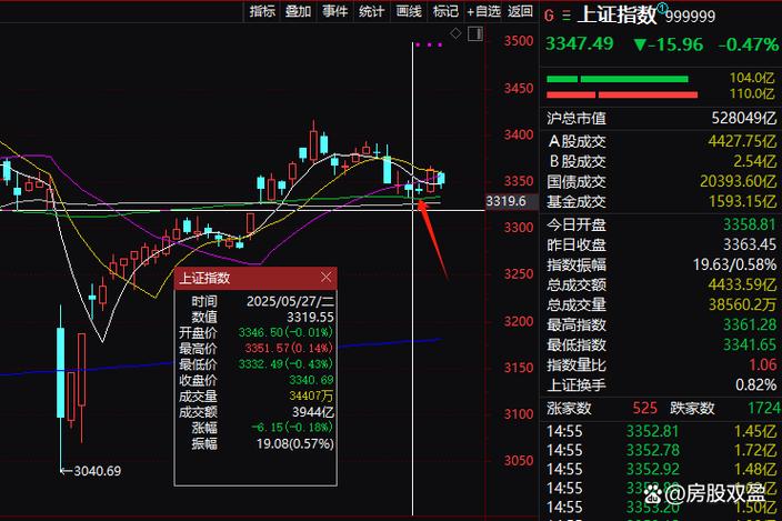 诱空洗盘资金逻辑_跌停时有大单买进意味着什么_A股日内极端分时走势